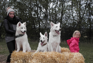 dash,coralie forrest